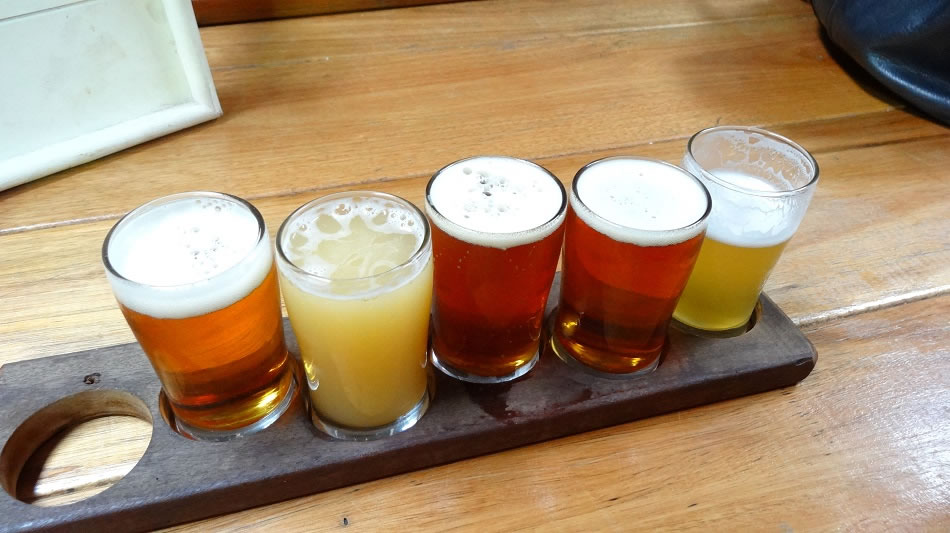 Flight of Young Henry's brews