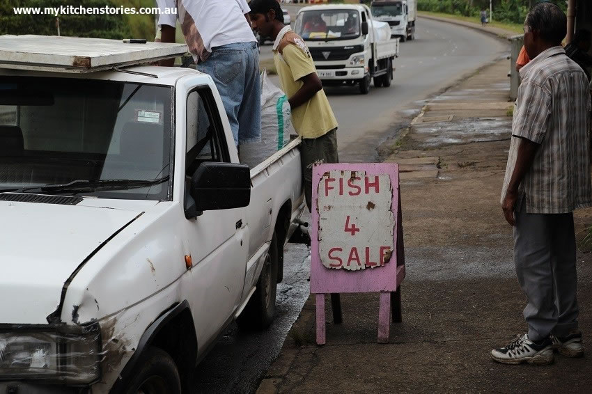 Fish 4 sale