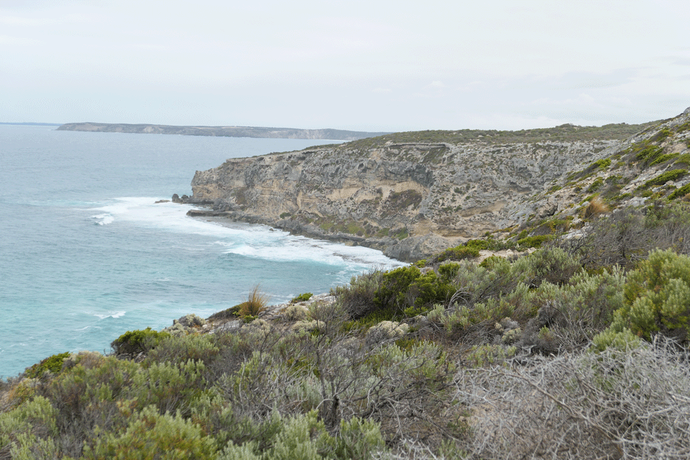 Cliffs. Kangaroo Island My Kitchen Stories