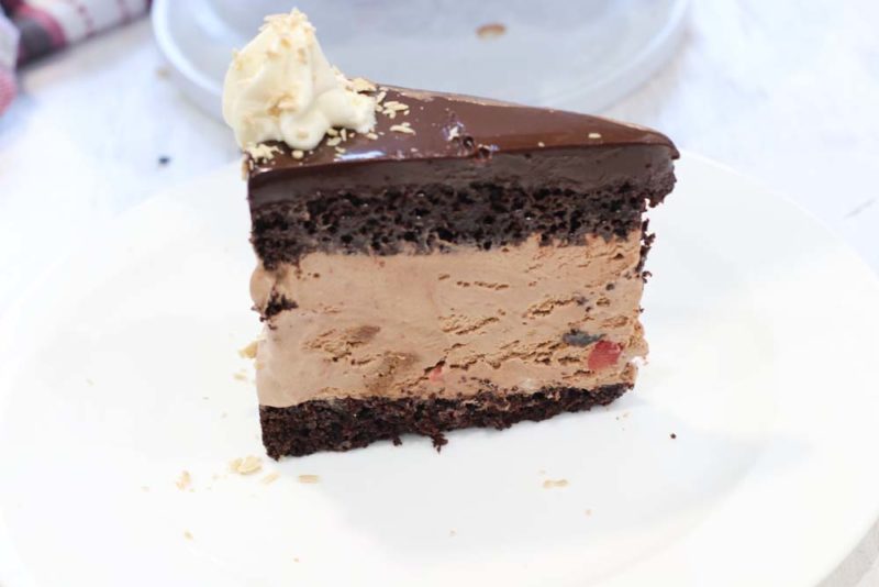 A slice of chocolate ice cream cake
